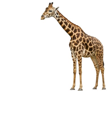 gi gi gi gi gi gi gi gi gi gi gi gi gi gi gi gi gi gi gi gi 2.jpg